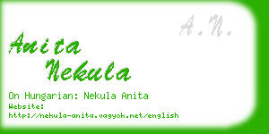 anita nekula business card